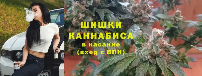 Бошки марихуана Bruce Banner  Димитровград 